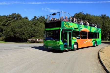 new-forest-tour.jpg