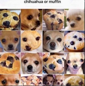 466662519_1113425586809698_1950780322040568211_n~2.jpg