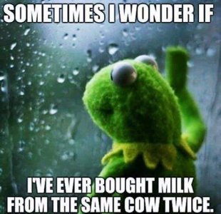 wonder.jpg