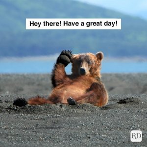 hey-there-have-a-great-day-149484414.jpg