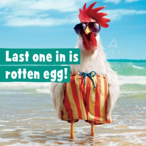 03f37dd21dddfc6eb5b6db5828841535--birthday-humorous-birthday-wishes.jpg