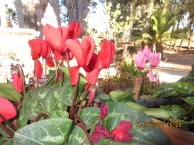 IMG_6083.JPG