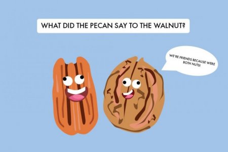 nutsdadjokes.jpg