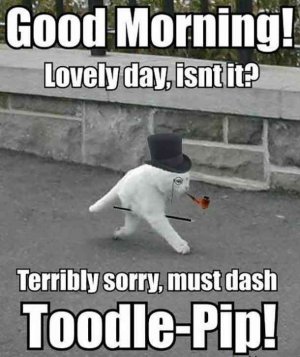 12 Funny Good Morning Memes & Peppy Quotes Only Morning People Can Understand.jpg