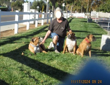 2024-11-17 walking.jpg