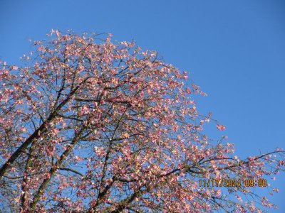 IMG_6094.JPG