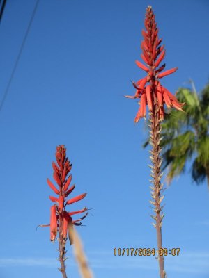 IMG_6105.JPG