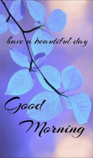 318ee8a88c33ddb9c6ce89b86d49ed21.jpg