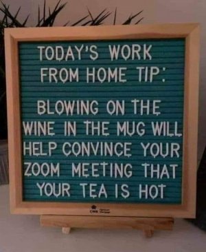 teaishot.jpg