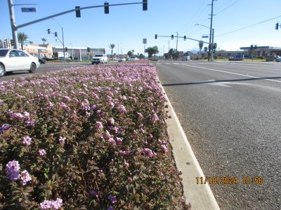 IMG_6180.JPG