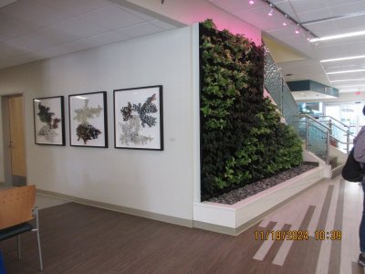 IMG_6166.JPG