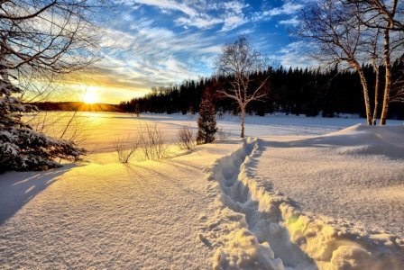 white landscape.jpg