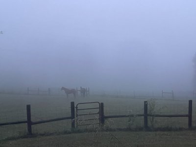 IMG_2215.jpeg