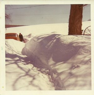 Image (17).jpg Image (17).jpg