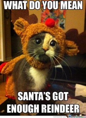 c3efb9ac-d8a8-4f89-afae-601735879402-christmas-kitty_o_981009.jpg