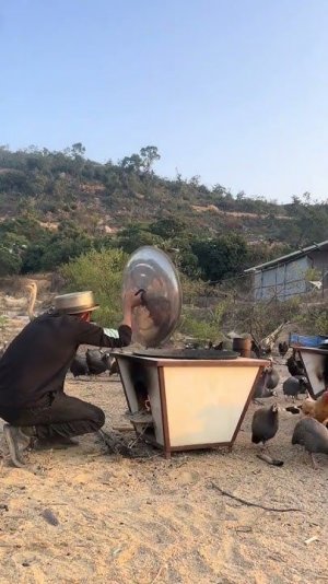 It’s too difficult to feed a chicken_ Chicken Farmer’s real-life photos of agriculture, rura.jpg