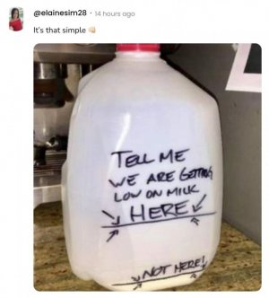 1000004202.jpg