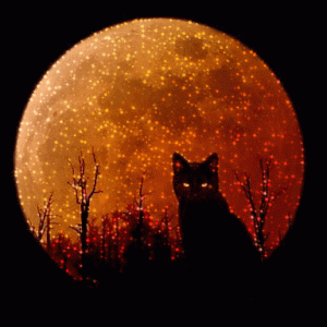 faaf9a61e87f4b2571e817c030199001.gif