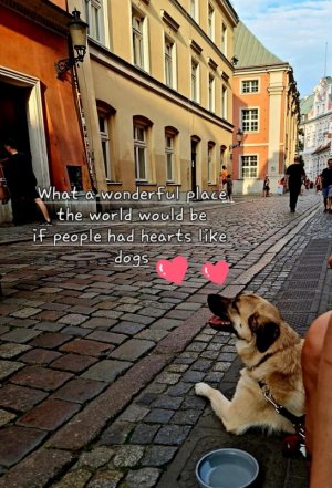 1000000761.jpg