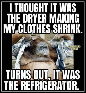 fat.jpg
