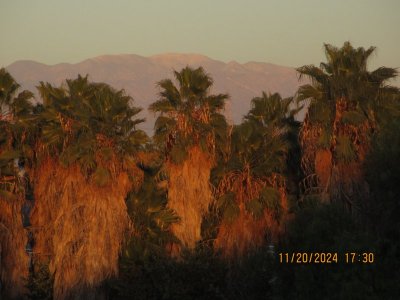 IMG_6217.JPG