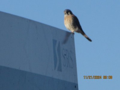 IMG_6243.JPG