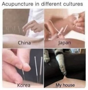 acupuncture-different-cultures-china-japan-korea-my-house.jpg