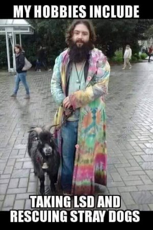 hippie.jpg