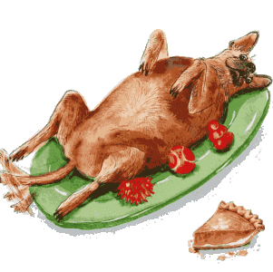 Thanksgiving Dog.gif