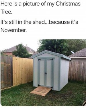 FB_IMG_1730676957435.jpg