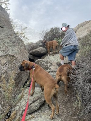 2022-12-27  hiking.jpg