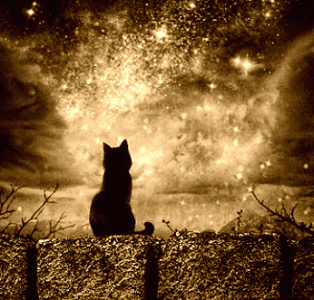 41093bf446b67167b53d587a3118ca5d.gif