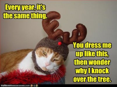 dressmeup.jpg