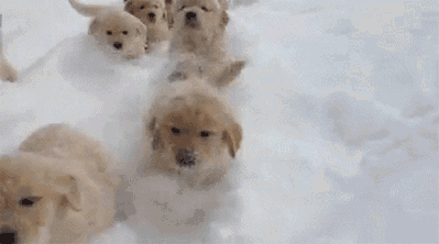 tumblr_ozswm9Kx5I1wix0fqo1_400.gif