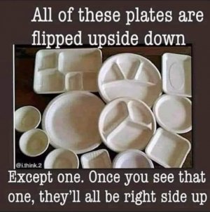 illusion.jpg