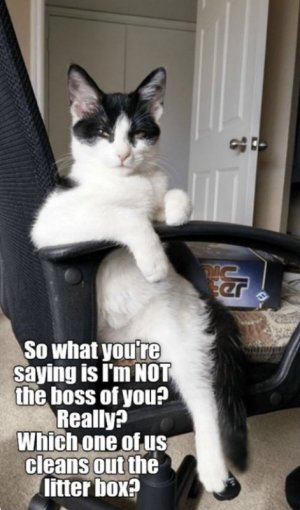 IMG_3498.jpeg