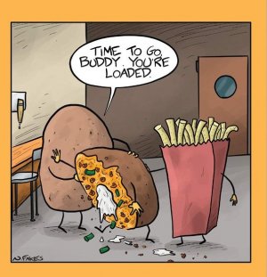food1.jpg