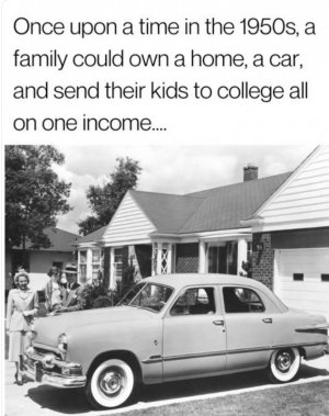 own a car.jpg
