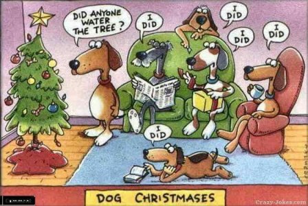 f2e5b890ba36d8b6d83a14fb3b3e1f08--family-christmas-christmas-holidays.jpg