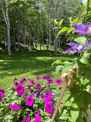 IMG_5220.jpeg