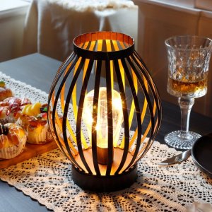 lamp cage.jpg