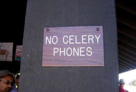 celeryphones.jpg