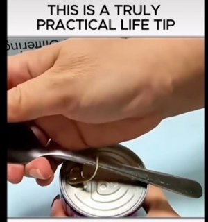 Screen Shot 2024-11-22 at 5.34.04 PM Small.jpeg