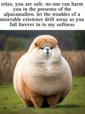 0.jpg