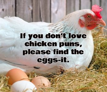 eggsit.jpg