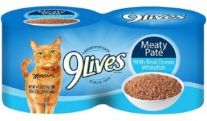 9 lives.jpg