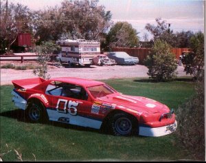 t-bird15.jpg