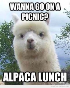 A0BCA410-EDAC-49A8-A9B4-57C4DAC64BF4.jpeg