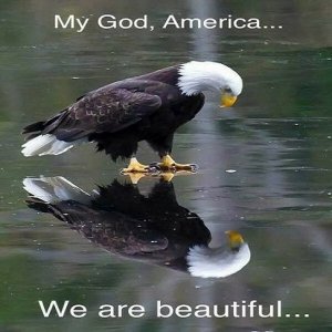 4th.jpg