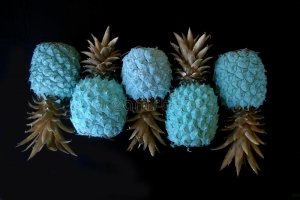 blue-pineapple-gold-leaves-black-background-close-up-68869640.jpg
